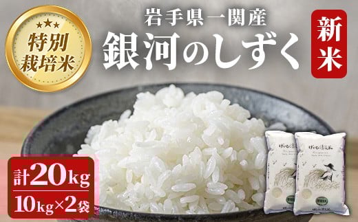 【 令和7年産 新米 】特別栽培米 銀河のしずく 20kg 岩手 お米 いわて コメ 精米 ブランド米 ご飯 白飯 ごはん お弁当 おにぎり 袋 東北 国産 岩手県 一関市