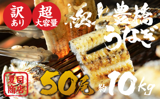 うなぎ 業務用 長白焼 50尾 ~210g×50尾 大容量 豊橋うなぎ 夏目商店 国産 国産うなぎ ウナギ うなぎ 業務用 うなぎ 業務用 うなぎ 業務用 うなぎ 業務用 うなぎ 業務用 うなぎ 業務用 うなぎ 業務用 うなぎ 白焼 うなぎ 白焼 うなぎ 大容量 うなぎ 大容量 業務用 白焼 業務用 白焼 うなぎ 白焼 50尾 うなぎ 白焼 50尾 うなぎ 白焼 うなぎ 大容量 うなぎ 白焼