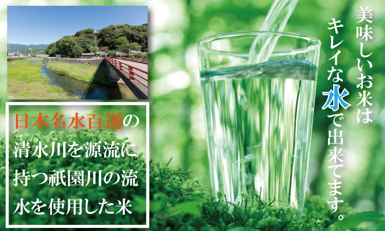 【先行予約】 R8年度産（令和8年度産）佐賀ブランド 米「 夢しずく 」10kg（5kg×2袋）ほたるの郷 精米 白米 10キロ 単位 もちもち 食感 冷めても 美味しい お一人様 ご家族用 ランキン