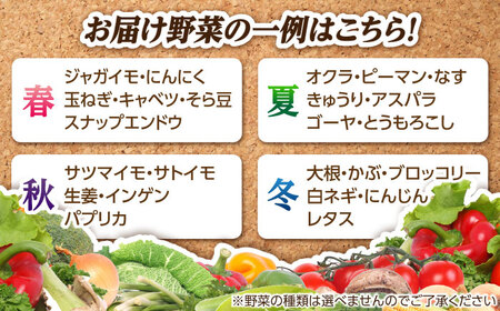 【全4回定期便】五島列島の旬野菜セット7〜10品目 おまかせ おたのしみ 詰め合わせ 五島市/五島のやぁしゃ便 [PBG002]