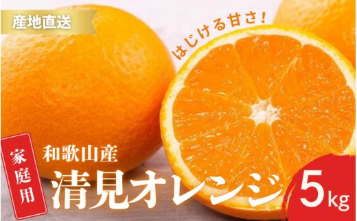 
                  【先行予約】訳あり 家庭用 きよみ 清美オレンジ 和歌山 有田 S～2Lサイズ 大きさお任せ 5kg【2月中旬～3月下旬頃に順次発送】/ みかん フルーツ 果物 くだもの 蜜柑 柑橘【ktn040】
                