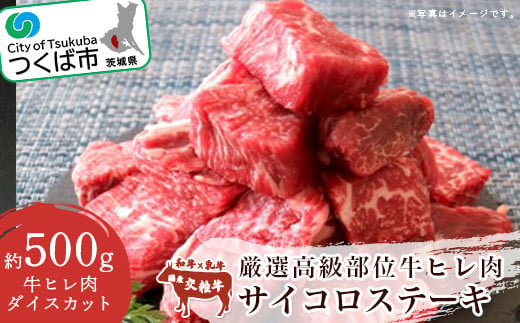 
厳選高級部位牛ヒレ肉サイコロステーキ500g＜離島・沖縄配送不可＞【 牛肉 牛 ステーキ 国産 茨城県 つくば市 】
