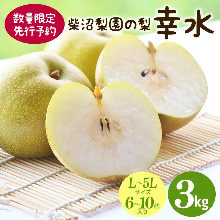 幸水 梨 3kg 柴沼梨園  BX-014