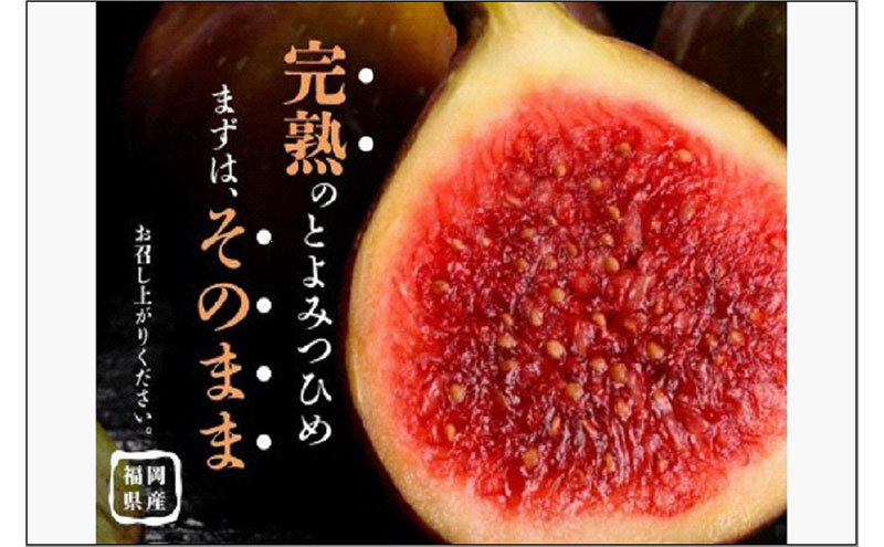 ＜2026年8月以降発送＞とよみつひめ　4パック約1200gセット（福岡市）　イチジク いちじく 無花果