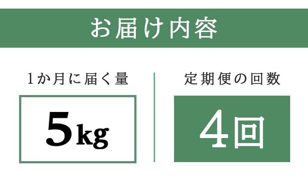 【新米予約】【定期便4回】ゆめぴりか5kg≪杉本農園≫