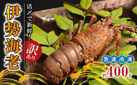 ＼最短7営業日以内発送／ 訳あり 活〆 急速冷凍 伊勢海老 400g (1~2尾) 伊勢エビ 海老 冷凍 プリっぷり 生 活き 締め 〆 伊勢えび 九十九里 エビ ぷりぷり 特選 刺身 生食用 海鮮 新鮮 高級 人気 国産 天然 安全 直送 お祝い ギフト おすすめ 千葉県 旭市 株式会社 幻屋 mby004