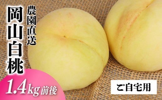 
                  岡山白桃 ご自宅用お試しサイズ 1.4kg前後 momo51 / 自宅用 家庭用 お試し 【配送不可地域：北海道／沖縄県／離島】 【jujy086-01】
                