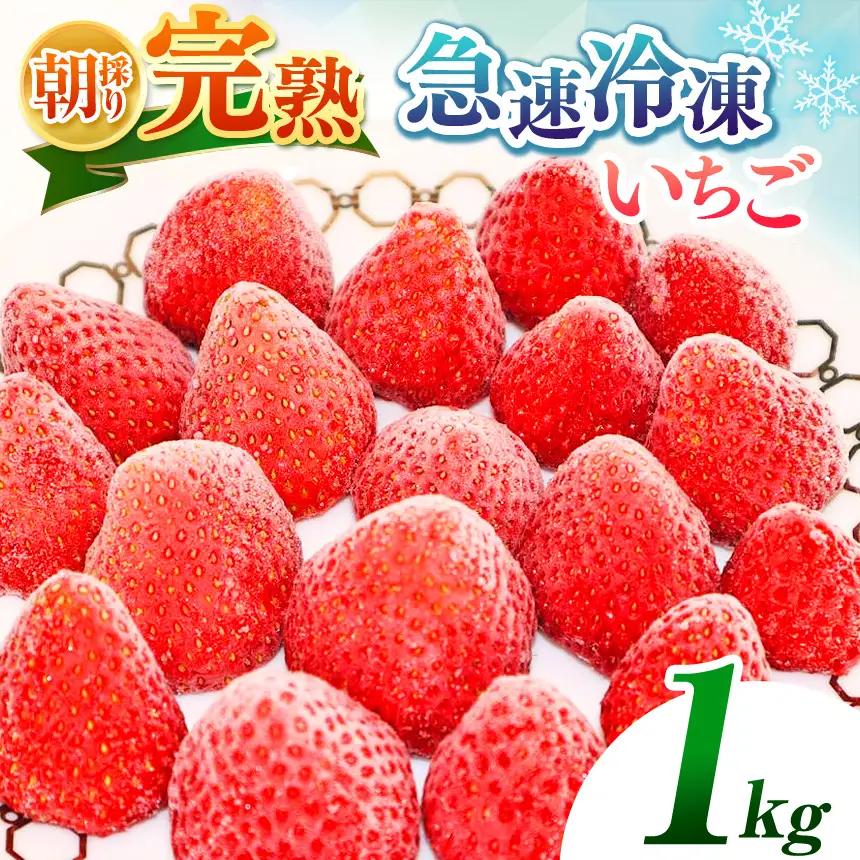 完熟・急速 冷凍いちご 1kg | 渡邉いちご園