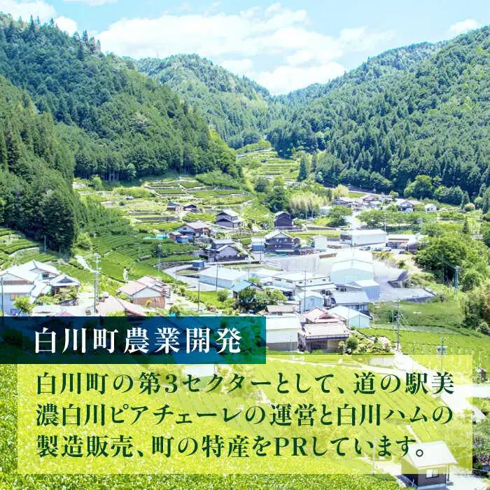 美濃白川茶 新茶セット 200g【先行予約】白川町農業開発[AWAH005]新茶