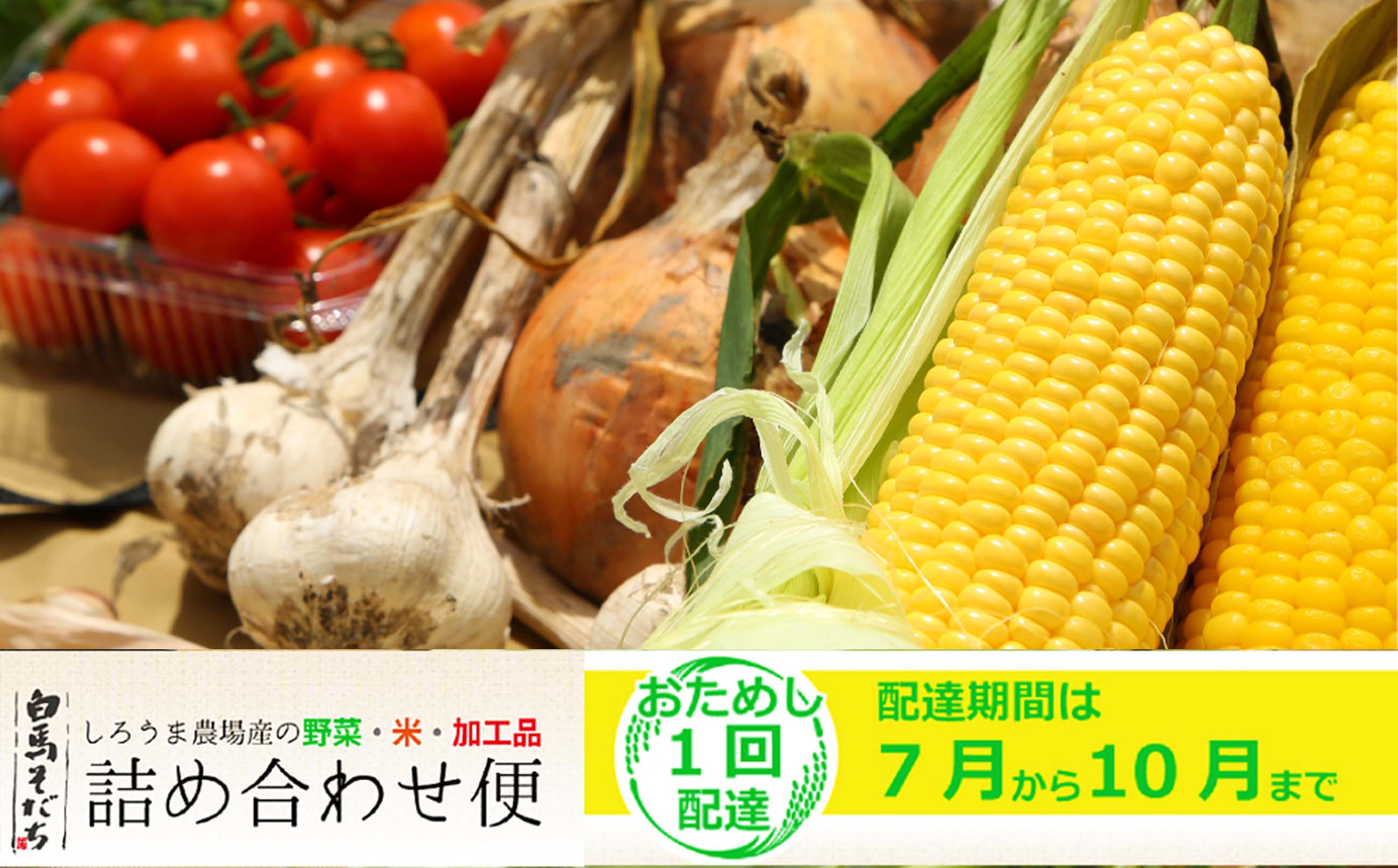 
            【期間限定】白馬そだち（旬の野菜・米・加工品）詰合せ便（全1回）2025年7月から10月までの間にお届け/長野県白馬村　旬の野菜　詰め合わせ　セット　直送【H0040195】
          