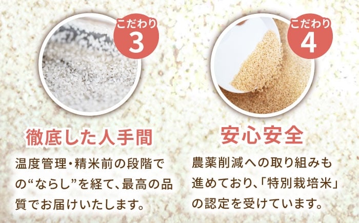 さがびより 白米 10kg 配送前精米 /江口農園 [UBF004] 白米 米 お米 精米