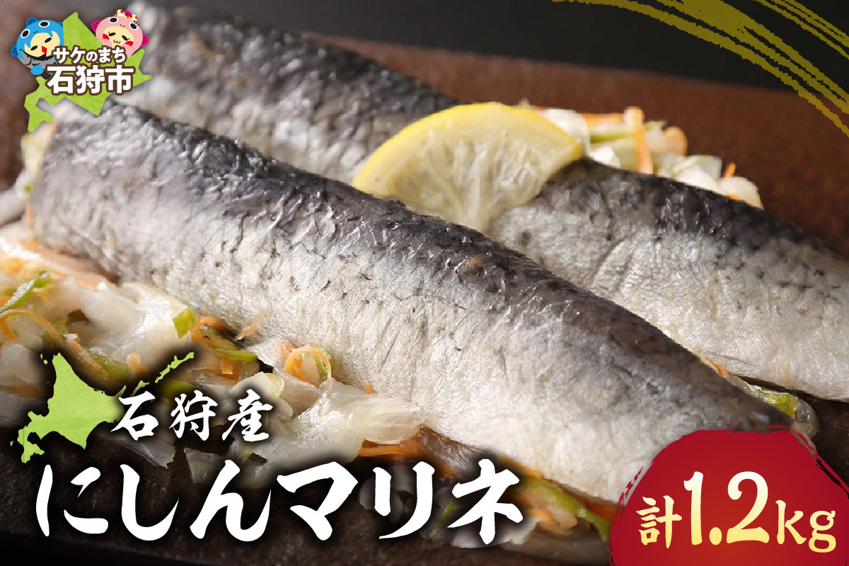 
                  石狩産にしんマリネ（200g×約6パック）計1.2kg｜ふるさと納税 北海道 石狩市 鰊 ニシン 漬け ピクルス 酢 ビネガー 総菜 惣菜 魚料理 おかず 6個 ６個 1200g ご当地 魚介類 グルメ 人気 旬 限定
                