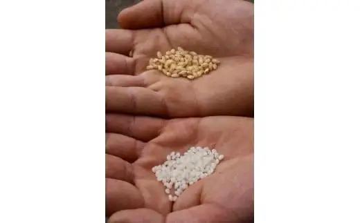 日本酒　純米大吟醸　会津の冬　720ml　ギフト　辛口　お土産　会津　喜多方　大和川酒造【07208-0664】