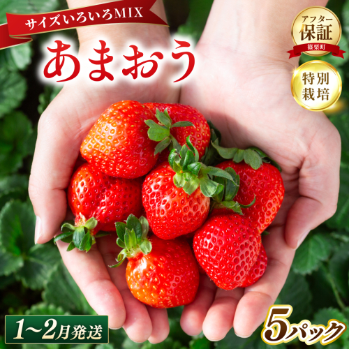 いちご 福岡県産 特別栽培 あまおう サイズいろいろMIX 約1425g（約285g×5パック）【1～2月発送】| 農園直送 アフター保証 先行予約 福岡産 送料無料 ケーキ ギフト お祝い 限定 季節限定 UN012