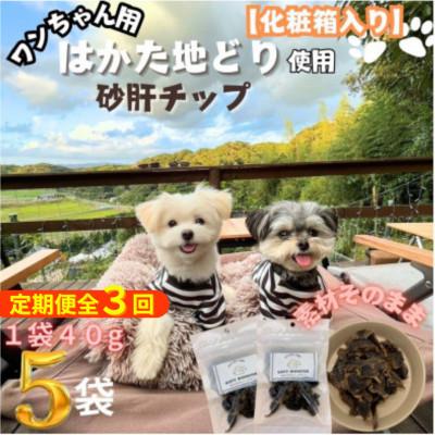 ふるさと納税 大川市 【2ヵ月毎定期便】特別仕様のおしゃれな化粧箱でお届け !素材そのまま砂肝チップ 40g×5袋全3回 | 