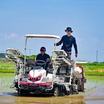 【2ヵ月毎定期便】岐阜県産ハツシモ(精米) 10kg全4回【配送不可地域：離島】【4076396】