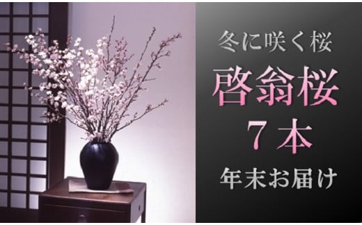 食の都庄内　【年末お届け】啓翁桜（7本束）