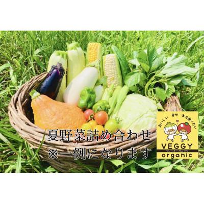 ふるさと納税 太田市 群馬県太田市産　有機JAS認証　新鮮な季節のオーガニック有機野菜　11点前後の詰め合わせセット |  | 03