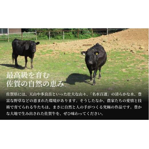 佐賀牛 切り落とし460g【旨味豊富なブランド牛！煮物から炒め物まで多種多様な料理に使える切り落とし肉】 牛肉 黒毛和牛 極上の佐賀牛 厳選 10000円 1万円 お肉 おにく ギフト プレゼント 贈