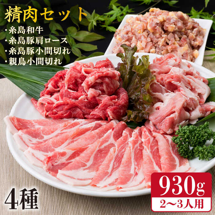 牛肉 豚肉 鶏肉 日常使いの精肉セット 930g 2〜3人前 4種 糸島市 / 糸島ミートデリ工房 [ACA192]