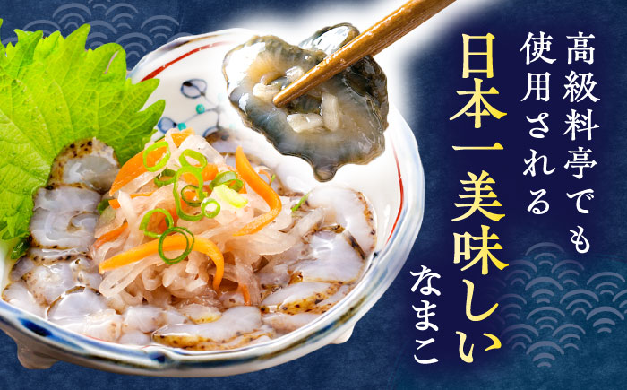 【先行予約】【数量限定】川棚 なまこ 約500g ※2024年12月中旬以降発送【森水産】[OAI002] / 大村湾なまこ 高級なまこ 新鮮なまこ ナマコ おつまみ 海鮮 魚介 新鮮魚介類 正月 産
