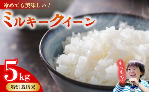 ミルキークイーン 5kg 無洗米 特別栽培米 お米 みるきーくいーん おこめ こめ 精米 ご飯ごはん おいしい 国産 日用品 日常 便利 甘い おこめ 米 お米 白ご飯 ごはん ご飯 お米 5kg 米 人気 お米 米 こめ おこめ 贈答 プレゼント ギフト おすすめ 贈り物 予約 お弁当 おむすび おにぎり 食品 お弁当 ご飯 日本 安心 農家直送 産地直送 山本耕業 こめ香 静岡県 牧之原市