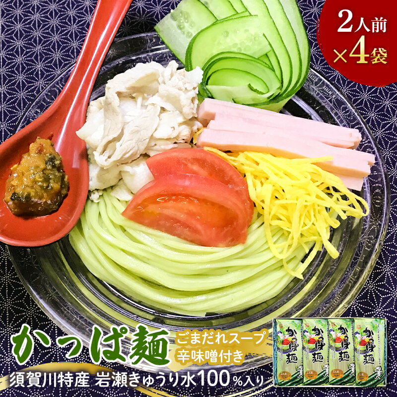 【ふるさと納税】『須賀川特産岩瀬きゅうり』使用かっぱ麺 F7X-0504