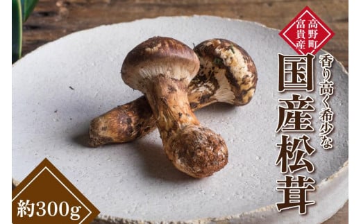 和歌山県産 香り高く希少な国産 松茸 約300g【2025年10月中旬頃より順次発送】【OKT2】