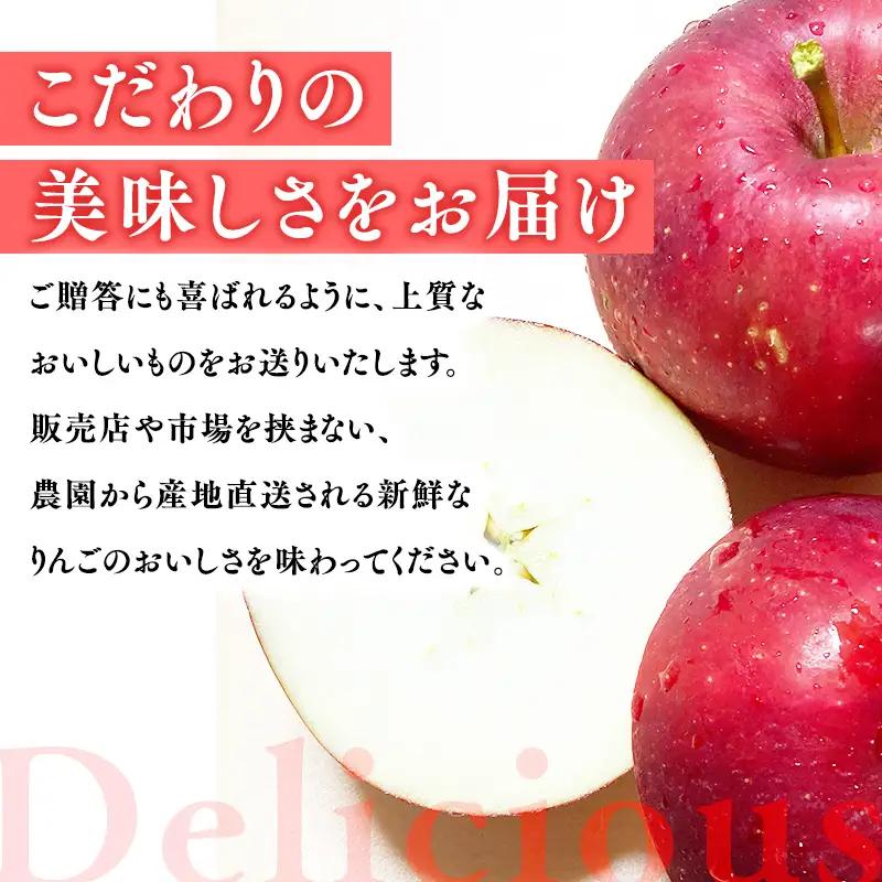 りんご 贈答用  シナノスイート・ぐんま名月 約5kg【hi-0033-002】