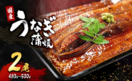 うなぎ 国産 蒲焼き 2尾 (480g～500g) 詰め合わせ セット うなぎ蒲焼 国産うなぎ 国産うなぎ蒲焼 うなぎの蒲焼 冷凍ウナギ 冷凍食品 冷凍 惣菜 おかず 魚 魚介 魚介類 大阪 大阪府 岸和田市