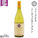 【ふるさと納税】【12回定期便】ソーヴィニヨン・ブラン 750ml×1本＜ヴィニョブル安曇野 DOMAINE HIROKI＞【長野県池田町】