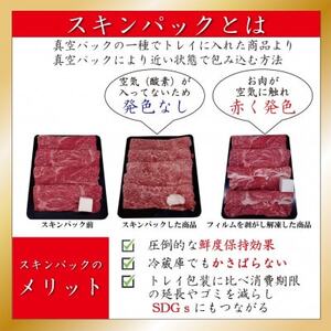 訳あり 神戸牛 切り落とし肉＆焼肉(切り落とし)　500gずつ　計1000g　SOSY2【配送不可地域：離島】【1517916】