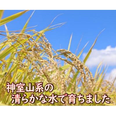 ふるさと納税 新庄市 【令和8年産】　はえぬき(玄米)5kg 山形県産 |  | 01