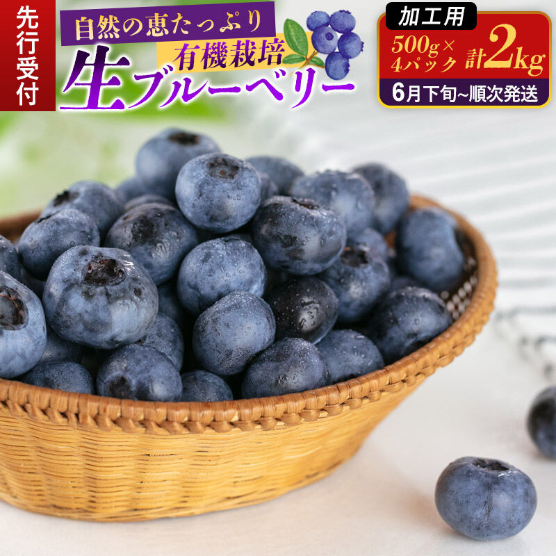 《先行受付》【加工用】田口農園 秋田県産 ブルーベリー 生 合計2kg（500g×4パック） [ブルーベリー 有機栽培 加工用 新鮮 安心 安全 大粒 甘い あまい おいしい 美味い 秋田県 由利本荘市 田口農園]