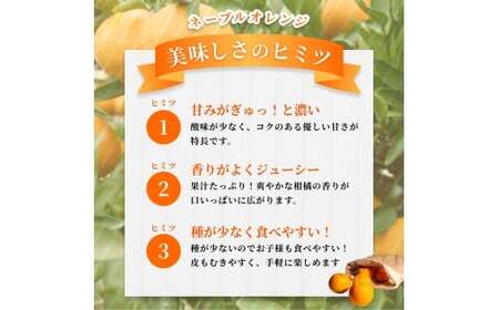 【ご家庭用】手選別 ネーブルオレンジ 約1.5kg 和歌山県産 2S~2Lサイズ混合※2026年1月上旬～2月中旬頃に順次発送【mrmt016】