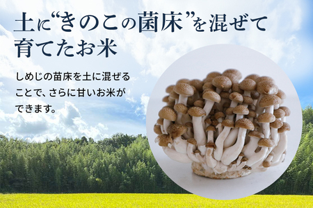 令和7年産新米 白米 5kg 栽培期間出来るだけ農薬を減らして作った「かすみ米」 茨城県産 コシヒカリ 米 お米 ご飯 ごはん 低農薬 しめじ菌床活用 甘み豊か 粘土質土壌育ち 健康志向 自然栽培 産