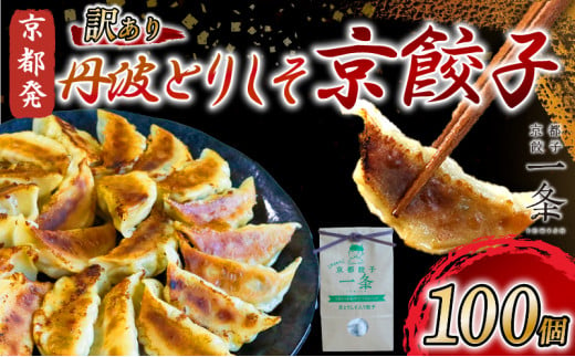 訳あり 丹波とりしそ京餃子 100個 冷凍 ぎょうざ ギョウザ ギョーザ 便利 簡単調理 惣菜 絶品 おかず お子様 家族 こだわり餃子 餃子 人気餃子 簡易包装餃子 訳あり餃子 訳アリ 冷凍餃子 冷凍生餃子 京都 井手町 京都餃子一条