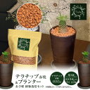 【ふるさと納税】三河焼 植木鉢 ハーモニーブラウン 4号 テラチップ赤焼 プランター お手軽 植物栽培セット 陶器 三河 インテリア 三河陶器 観葉植物 癒やし 園芸 テラチップ いぶし お取り寄せ 丸俊セラミック 愛知県 碧南市 送料無料