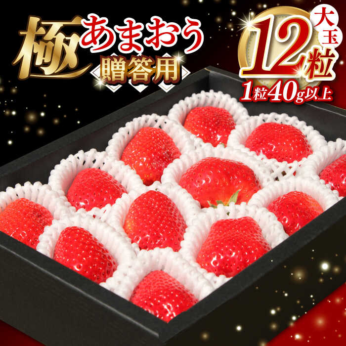 【ふるさと納税】築上町産 あまおう 12粒【1月中旬以降発送】《築上町》【エースいちご株式会社】 大粒 あまおう 苺 いちご ギフト 贈り物 プレゼント [ABAG006] 20,000円