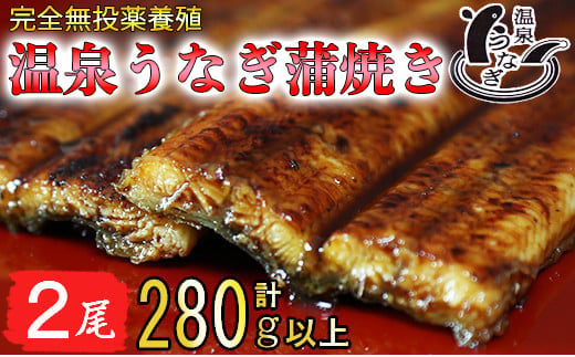 
温泉うなぎ蒲焼 2尾（140gサイズ） 国産うなぎ 人気 チョイス限定 国産 蒲焼 蒲焼き かば焼き 鰻屋 個包装 冷凍 真空 ＜104-007_5＞
