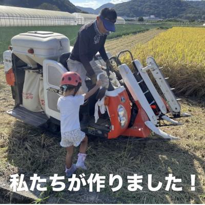 ふるさと納税 岡山市 【令和7年産】岡山県産 きぬむすめ 精米 5kg(5kg×1袋)　 |  | 02