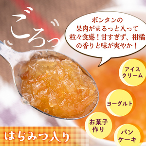 isa546 《数量限定》手作りはちみつ入りボンタンマーマレード(計9個・各140g) ふるさと納税 伊佐市 特産品 加工食品 果物 フルーツ 詰め合わせ 果肉 柑橘 低糖 ハンドメイド ジャム ギフ