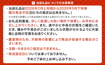 【先行予約】 みかん 訳ありみかん はるか 約5kg（22玉～27玉）【吉田レモニー】【2026年2月上旬～2026年5月下旬発送】はるかみかん 国産はるかみかん 熊本県産はるかみかん 宇城市産はるか