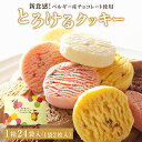 【ふるさと納税】アルパジョン 新食感！ とろけるクッキー 24袋入 ベルギー産チョコレート 使用 フレーバー 12種 アルパジョン