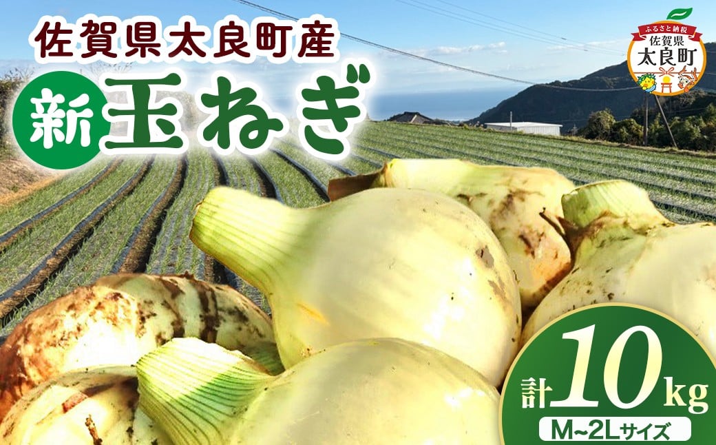 
            【先行受付】佐賀県太良町産～牟田農園の春の新玉ねぎ［M～2L］10kg たまねぎ タマネギ 野菜 新玉ねぎ 玉ねぎ 10kg 農家直送
          