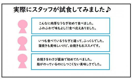 ＜2026年3月配送＞うなぎ白焼き 800g (200g×4尾) 2026年3月配送