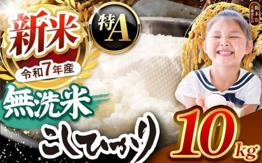 栃木県産コシヒカリ 無洗米 10kg 【栃木県共通返礼品】 | お米 米 こめ 洗米 新米 無洗米 コシヒカリ こしひかり 美味しい お弁当 選べる ふるさと 納税 栃木県 矢板市