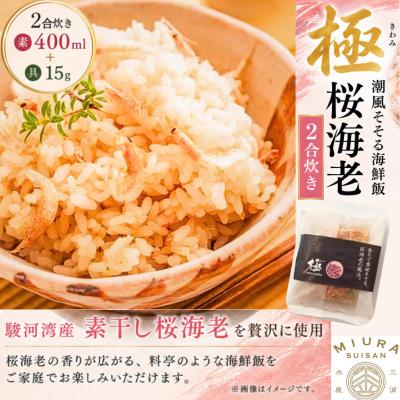 ふるさと納税 伊東市 極　潮風そそる海鮮飯　桜海老(2合炊き)