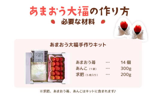 あまおう大福 手作りキット （1セット） 大福 和菓子 キット セット 【2026年1月～4月にかけて順次出荷予定】餡子 あん お菓子 手作り 苺 いちご 福岡県 大木町 池上農園 BD14 1パック
