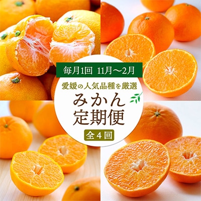 【発送月固定定期便】愛媛の人気品種!かんきつ定期便 11月〜2月全4回【H25−154】【4012888】